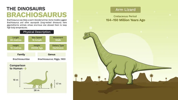2014 Description Physical Characteristics Brachiosaurus Vector Illustrations — 스톡 벡터