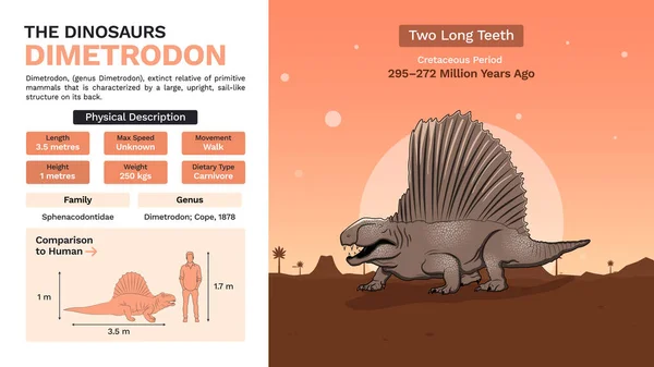 Dimetrodon Vektör Resimlerinin Tanımı Fiziksel Özellikleri — Stok Vektör