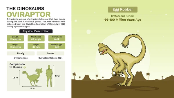 Descrição Características Físicas Das Ilustrações Oviraptor Vetor —  Vetores de Stock
