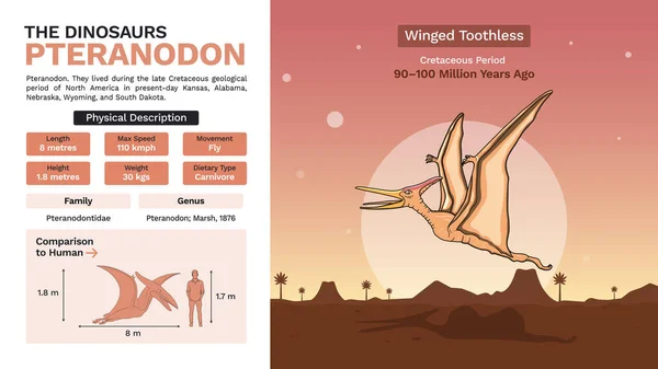 2014 Description Physical Characteristics Pteranodon Vector Illustrations — 스톡 벡터