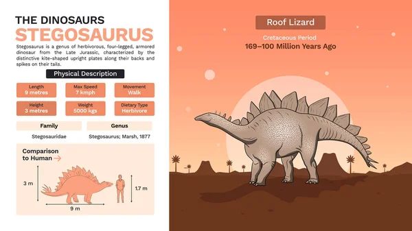 Stegosaurus Vector Illusztrációk Leírása Fizikai Jellemzői — Stock Vector