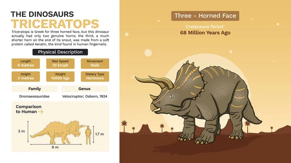 Triceratops Vector Illusztrációk Leírása Fizikai Jellemzői — Stock Vector