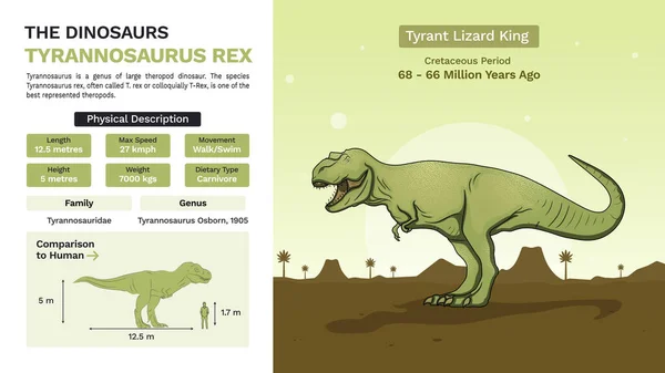 Beschrijving Fysische Kenmerken Van Tyrannosaurus Rex Vector Illustraties — Stockvector