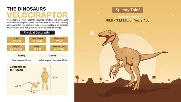 Leírás Fizikai Jellemzői Velociraptor Vektor Illusztrációk — Stock Vector