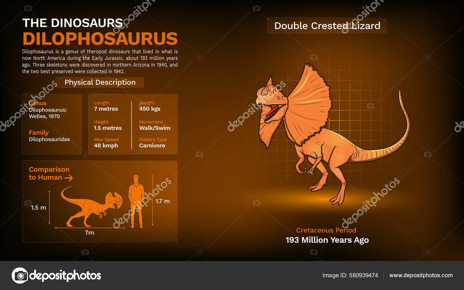 Description Physical Characteristics Dilophosaurus Vector Illustration
