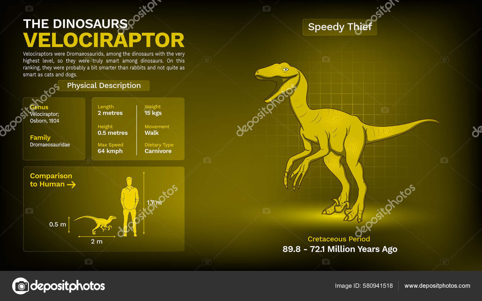 Description Physical Characteristics Velociraptor Vector Illustration Stock Vector by