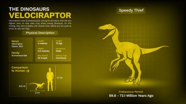 Velociraptor 'un Tanımı ve Fiziksel Özellikleri - Vektör İllüstrasyonu