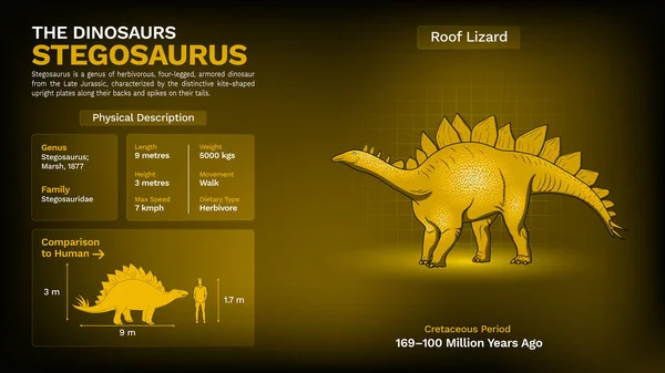 Description Physical Characteristics Stegosaurus Vector Illustration — 스톡 벡터