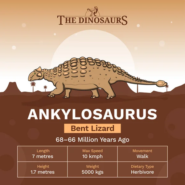 Ankylosaurus Vektor Illusztráció Leírása Fizikai Jellemzői — Stock Vector