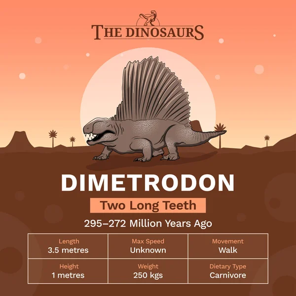 Dimetrodon Vektor Illusztráció Leírása Fizikai Jellemzői — Stock Vector