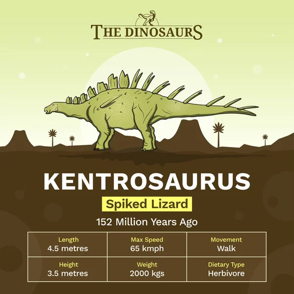 Descrição Características Físicas Kentrosaurus Ilustração Vetorial —  Vetores de Stock