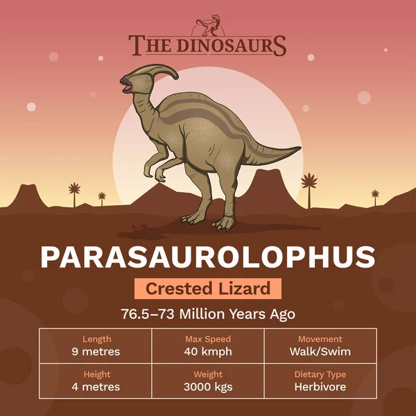 Beschrijving Fysische Kenmerken Van Parasaurolophus Vector Illustration — Stockvector