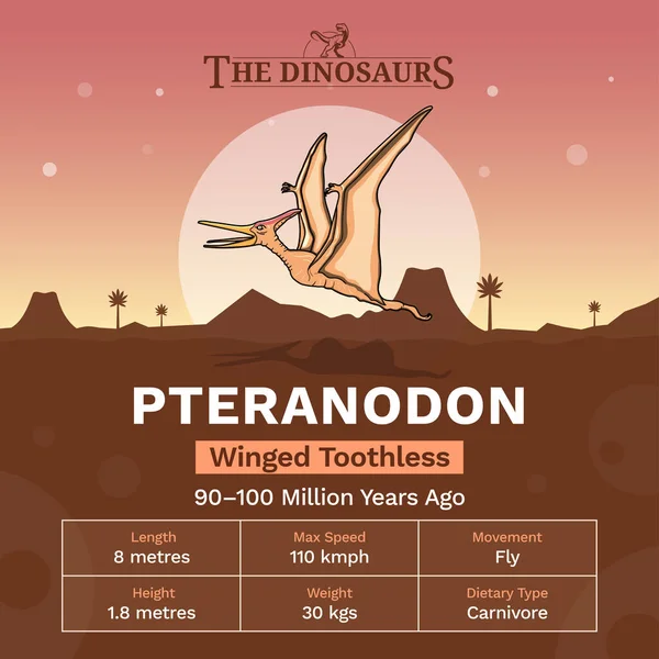 Pteranodon Leírása Fizikai Jellemzői Vektorillusztráció — Stock Vector