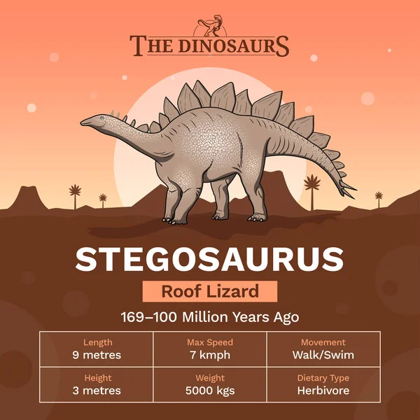 Leírás Fizikai Jellemzői Stegosaurus Vektor Illusztráció — Stock Vector