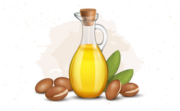 Argan oil Bottle with argan nuts vector illustration with green leaves
