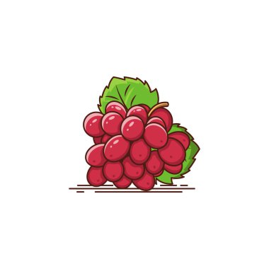 Taze Kırmızı Üzümler meyve vektör resimleme 
