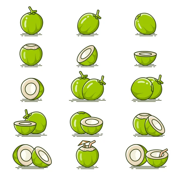 Collection Green Water Coconut Fruit Vector Icons — Stock vektor
