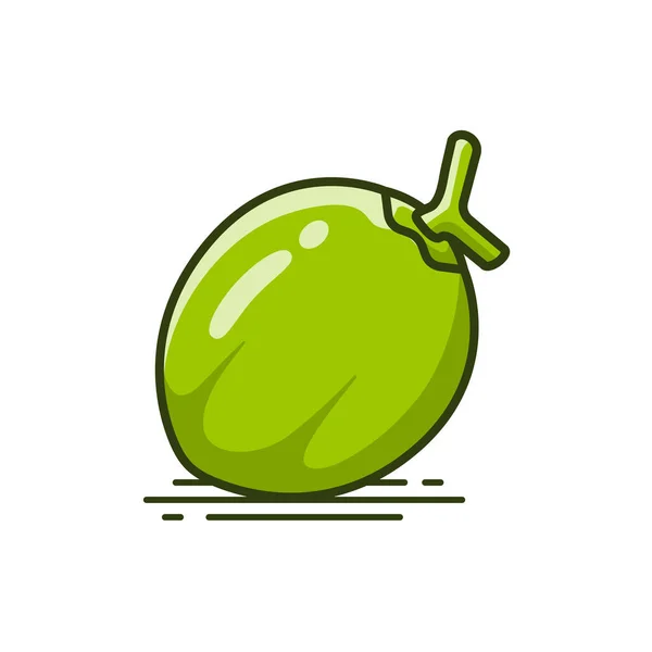 Agua Verde Coconut Fruta Vector Ilustración — Vector de stock