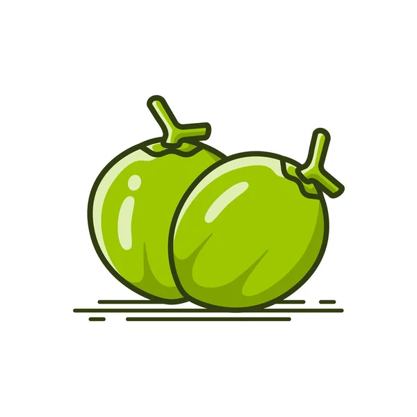 Set Two Green Water Coconut Fruit Vector Icon — Vetor de Stock