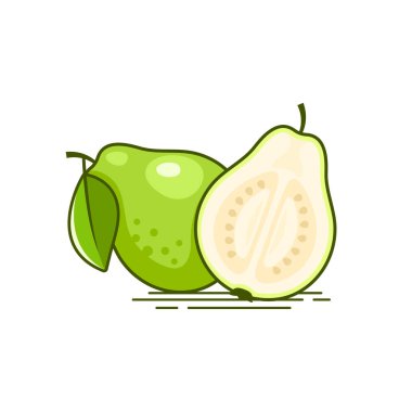 Taze beyaz Guava meyve simgesi ve guava parça vektör çizimi