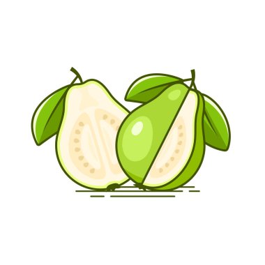 Yeşil yapraklı Taze Yeşil Guava Meyve Vektör İmajı 