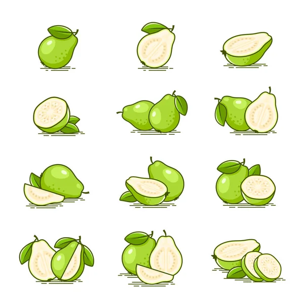Fresh Delicious White Guava Fruit Icons Collection Vector Illustration — Vetor de Stock