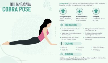 Kobra Poz Rehberi ve faydaları: Yoga vektör illüstrasyonu