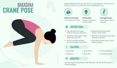 Crane Pose Guide and benefits: Yoga poses vector illustration