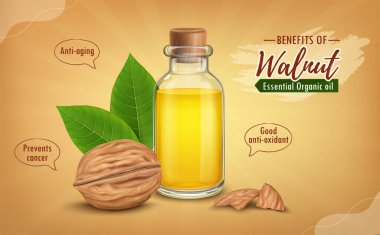 Kahverengi arkaplanda yağ ve parçalı ceviz vektör çizimi 