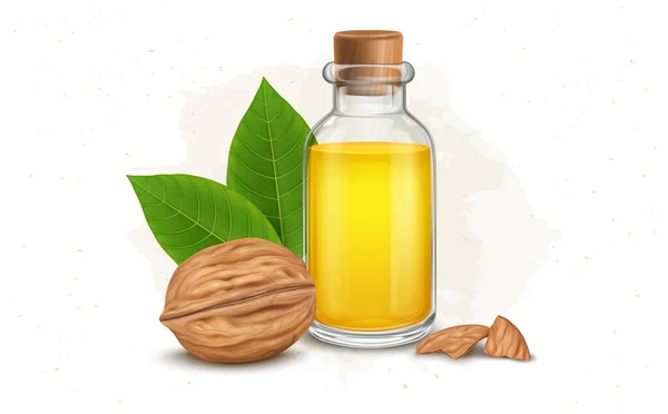 Walnut Fruit Vector Illustration Walnut Oil Green Leaves — Vetor de Stock