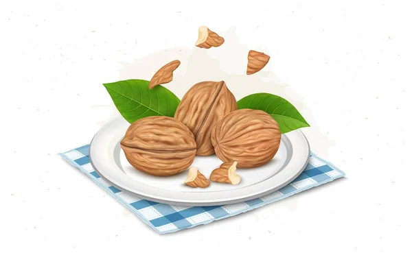 Walnuts Plate Vector Illustration Walnut Kernel Pieces — Stockvector