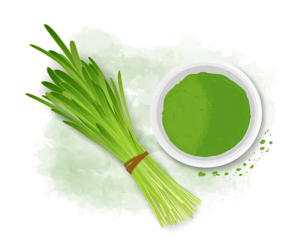 Wheatgrass Sprouted Leaves Vector Illustration Powder Bowl Top View — Image vectorielle