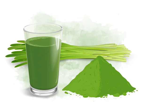 Vector Illustration Wheatgrass Sprouted Leaves Wheat Grass Juice Powder — ストックベクタ