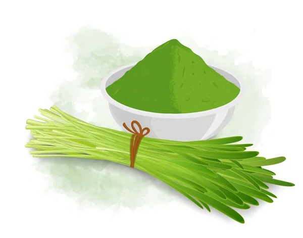 Wheatgrass Sprouted Leaves Vector Bowl Wheatgrass Powder — 图库矢量图片