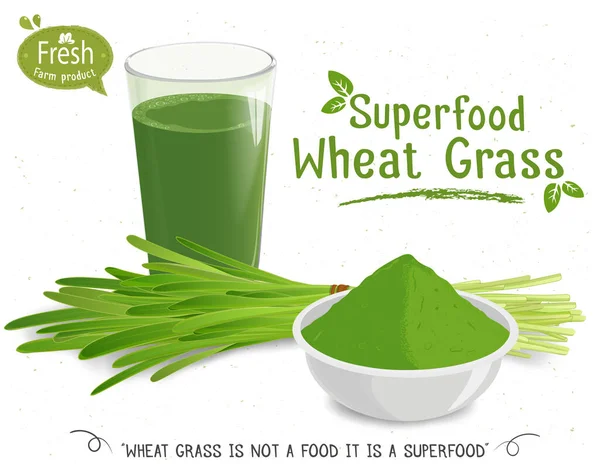 Wheatgrass Vector Ilustración Con Polvo Pasto Trigo Jugo — Vector de stock