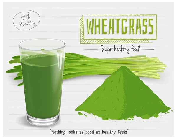 Wheatgrass Vector Illustration Vector Glass Wheatgrass Juice — 스톡 벡터