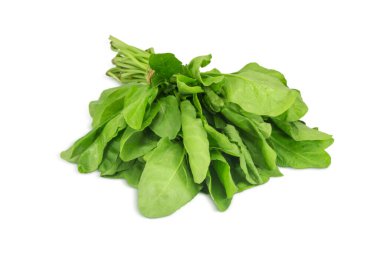 Beyaz arka planda izole edilmiş taze yeşil ıspanak sebzeleri.