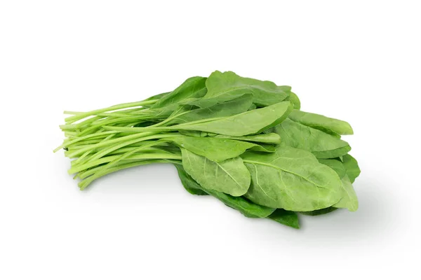 Frische Grüne Spinatblätter Isoliert Auf Weißem Hintergrund — Stockfoto