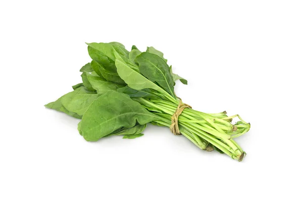 Fresh Green Spinach Leaves Isolated White Background — 스톡 사진