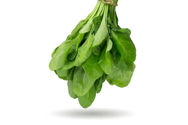 Bunch Fresh Green Spinach Leaves White Background — 스톡 사진