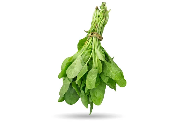 Green Natural Fresh Spinach Leaves Bundle Isolated White Background — 스톡 사진