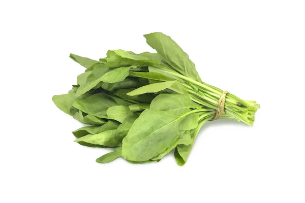 Fresh Green Spinach Leaves Isolated White Background — Stockfoto
