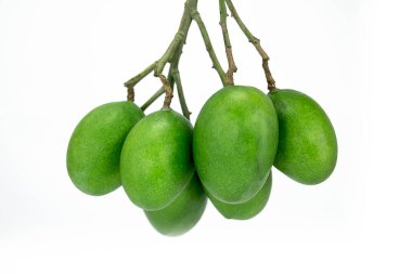 Asılan bir grup yeşil mango beyaz arka planda izole edilmiş.