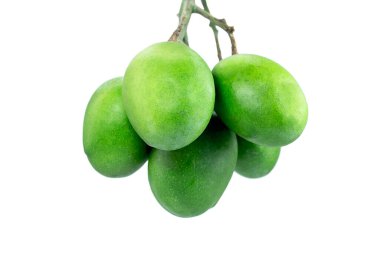 Asılan bir grup yeşil mango beyaz arka planda izole edilmiş.
