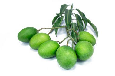 Yeşil mangolu bir mango dalı ve beyaz arka planda izole bırakılmış.