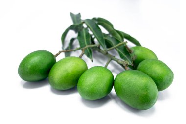 Yeşil mangolu bir mango dalı ve beyaz arka planda izole bırakılmış.