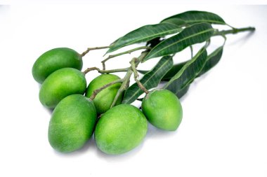Beyaz arka planda izole edilmiş mango yapraklı bir grup taze yeşil mango.