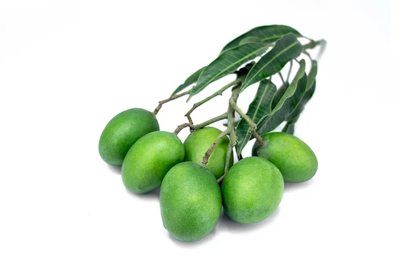 Green Mangoes Mango Leaves Isolated White Background — ストック写真