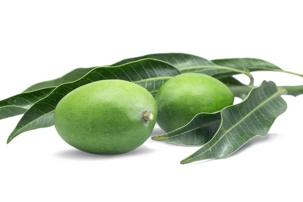Raw Green Mangoes Mango Leaves Isolated White Background — ストック写真