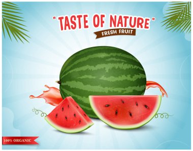 Karpuz parçalı karpuz meyve vektör çizimi